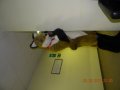 cesfur 450.JPG